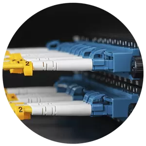 GPON